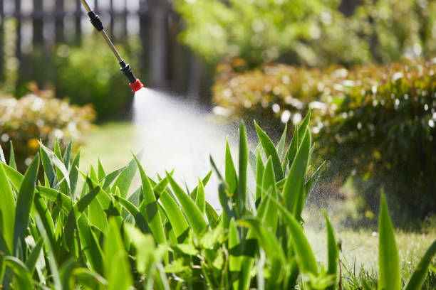 Tamper-Resistant Bait Stations for Rodents in Clarkton