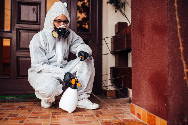 Attic and Crawl Space Rodent Treatment in Clarkton