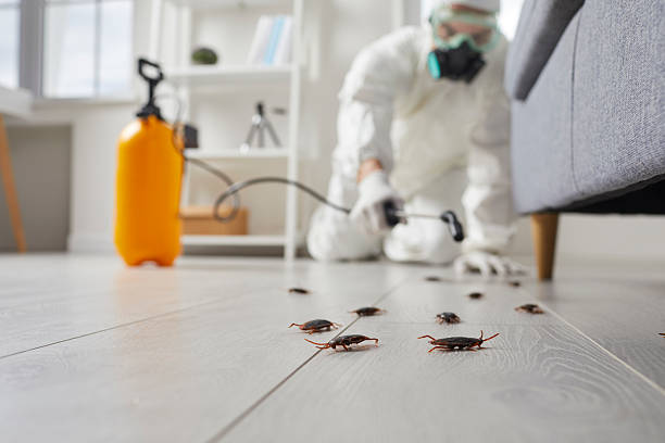 Commercial Rodent Management in Clarkton